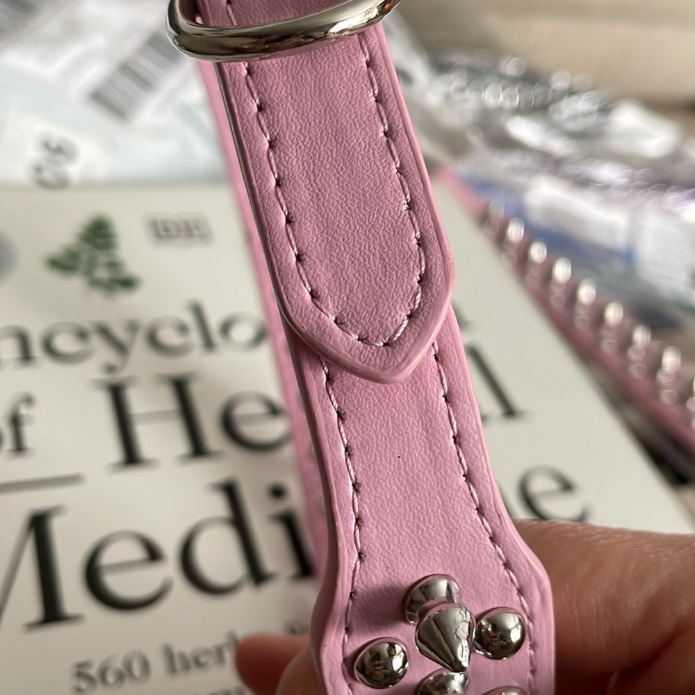 Pink Collar - Picture 4 of 6